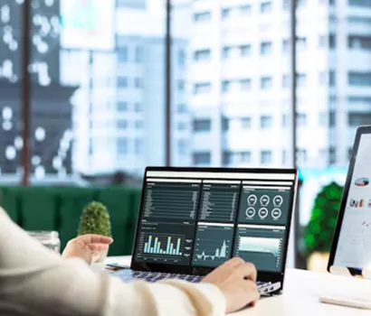 Portfolio Management & Oversight